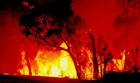 Fire sweeps across a paddock